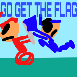 Go Get the flags