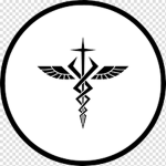 Kitsune Medical, Zada Gemini