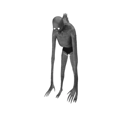 Animation