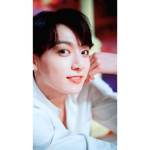 Fãs do bts