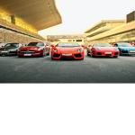 THE GOLDEN LAMBO SQUAD