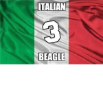 Italian Beagle Military Academy