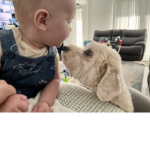Puppy’s:)
