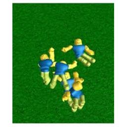 ragdoll