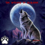 ~ The Wolves Of Qliramm: Studios ~