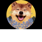 Doge the gamer studios