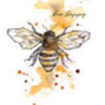 buzzy.viibezx
