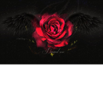 Dark Angels Xx Daniella xX