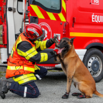 Sapeurs pompier FR