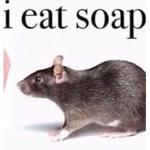 Ratty Jakey