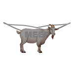 ୨୧┊meef 1.0