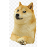 Dogs and Doge Group!
