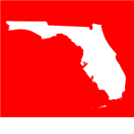 Air Florida International