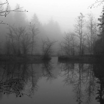 woundedpierces's Place