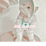 Guille store
