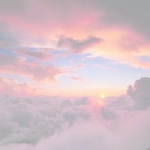 Lovely Starships