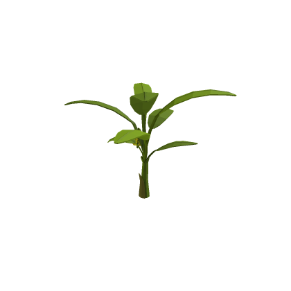 Banana Tree