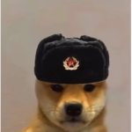 >Robux Gratis 2019 >