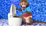 Monke eat bananas