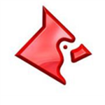 Cardinal Corp.