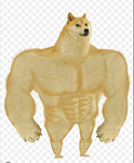 Doge rap group