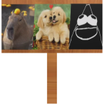 Friendship Sign