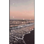 XxMoonlightMoonxX