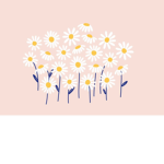 Aesthetic Isla’s