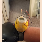 The lemon watch