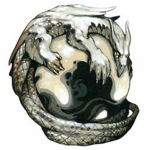 Dragon's Nation