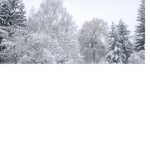 snow_