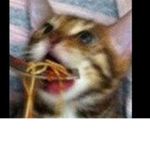 meatballsandspaghetti