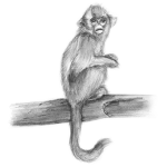 le epic monkey group