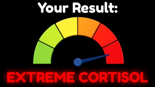 Cortisol Test