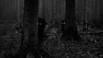 :shadow;