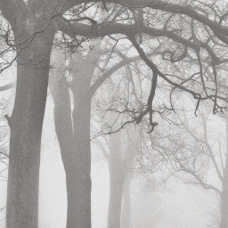 Silent Veil