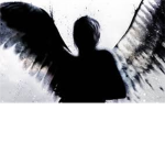 ||Shadow Guild||