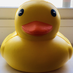 :)The Ducky Love Group:)