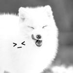 bunniᅠᅠ