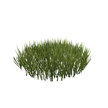Grass {With sounds}
