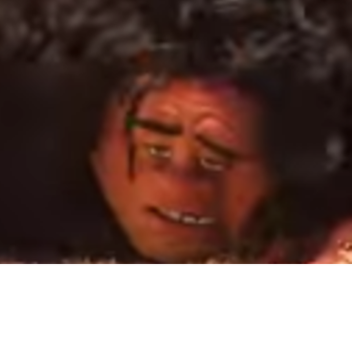 wot ppl look like when der stupid