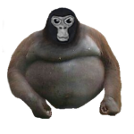 buy my big monke shirts plz