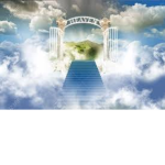 Sky' Revolution