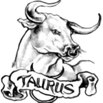 Taurus gaming club