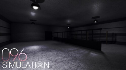 096 Simulation