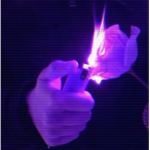 The Burning Roses...