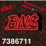 BROTHERS NEVER SWITCH
