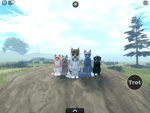 Ponys!