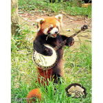 [pandax]