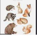Forest friendssss